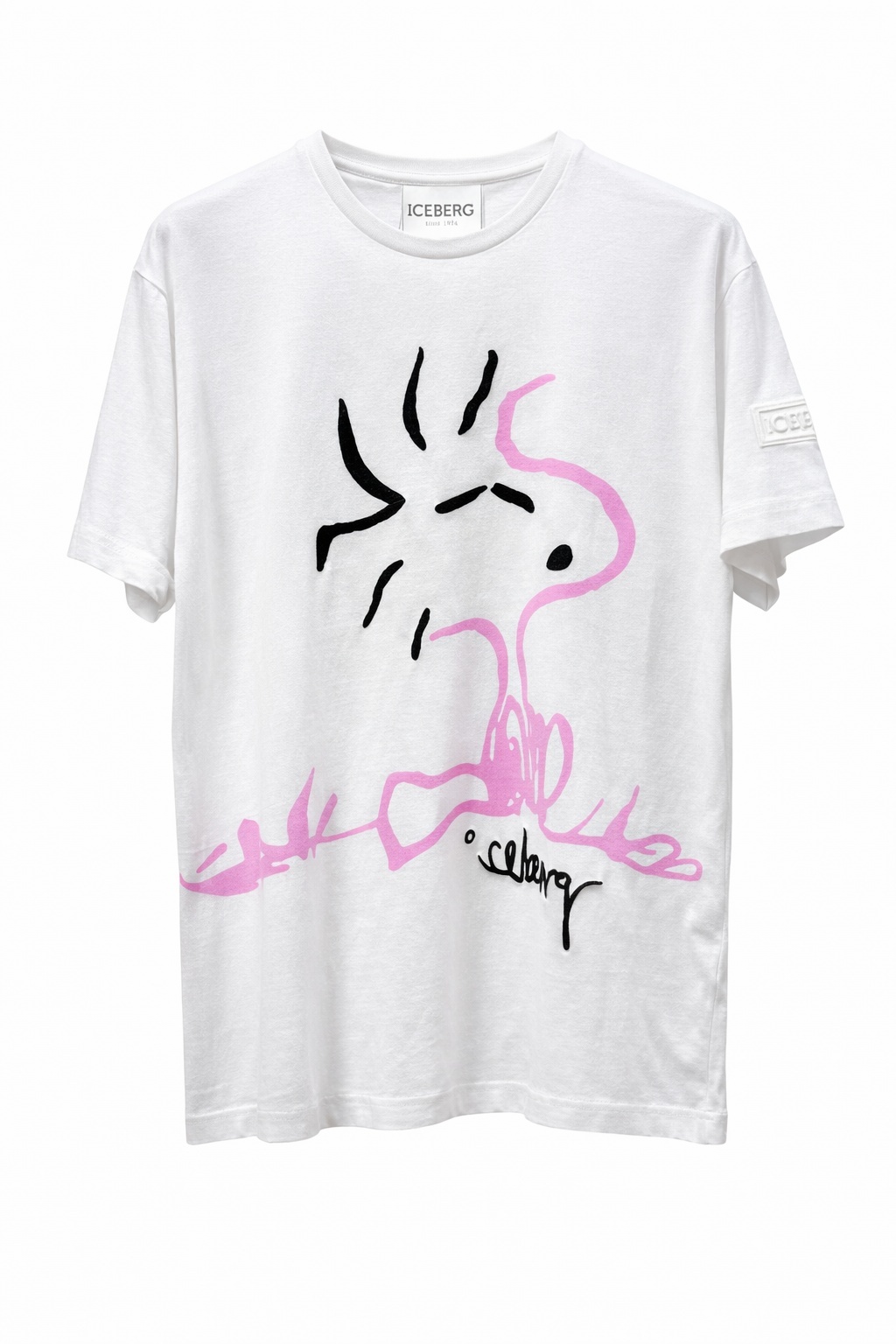 T.Shirt Iceberg