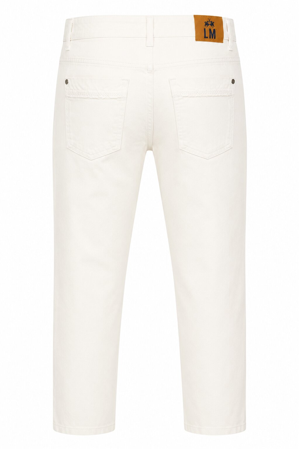 LAM3GM0042R020Back